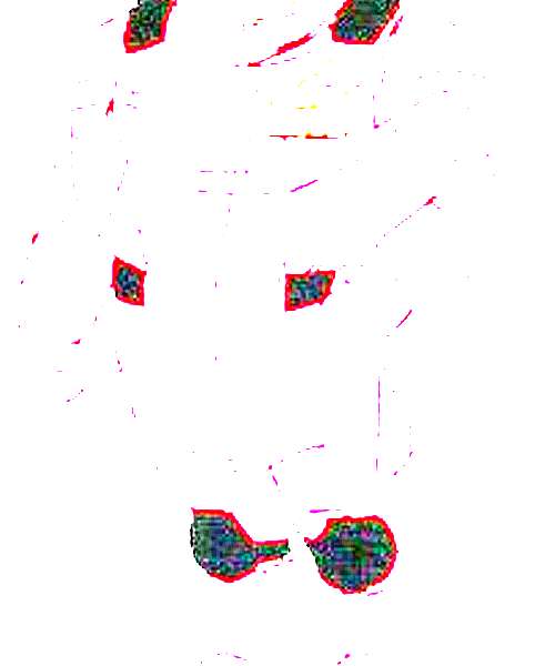Gemon Bajack character portrait