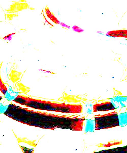 Ootori-sama character portrait