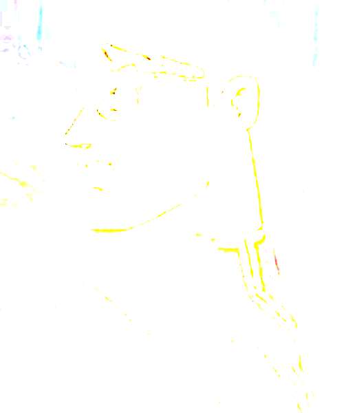 Y. Bicock character portrait