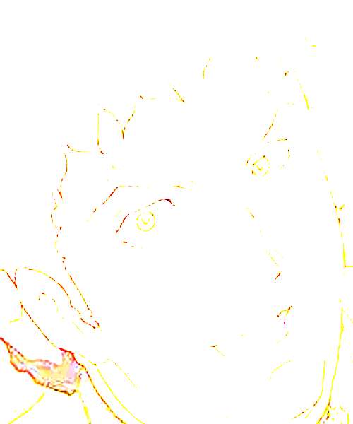 Rino Fernandes character portrait