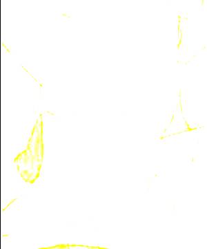 ภาพตัวละคร B-ko