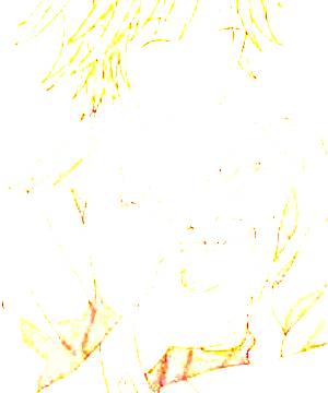 ภาพตัวละคร Ichihara