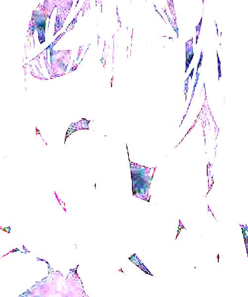 Fyodor Dostoyevsky character portrait
