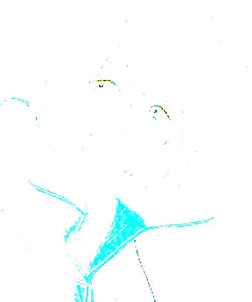 Nao Serizawa character portrait