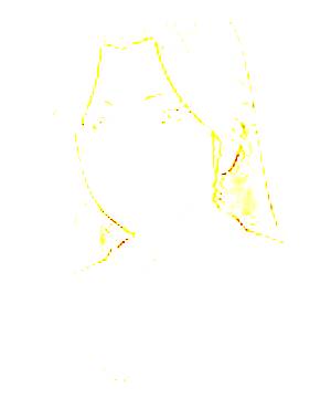 ภาพตัวละคร Raikou Minamotono