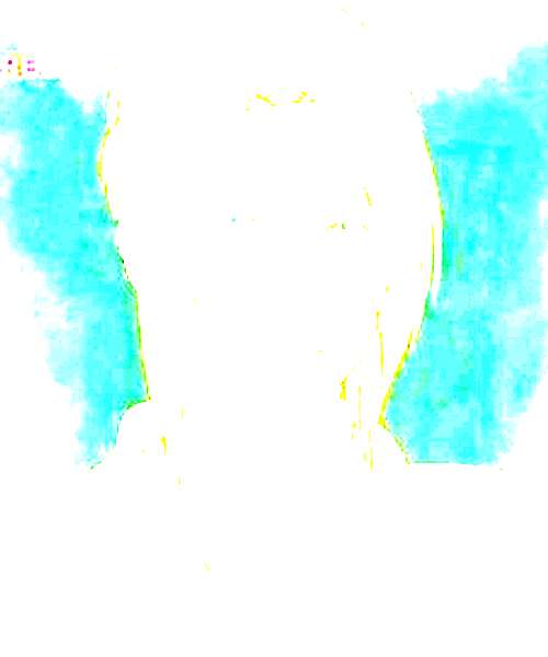 Lisa character portrait