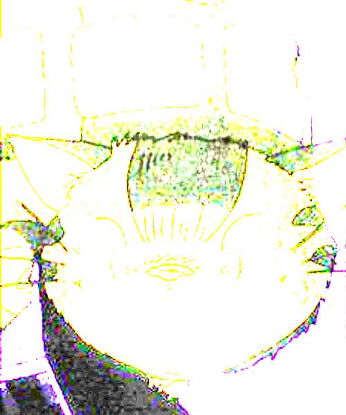 Nekobasu character portrait