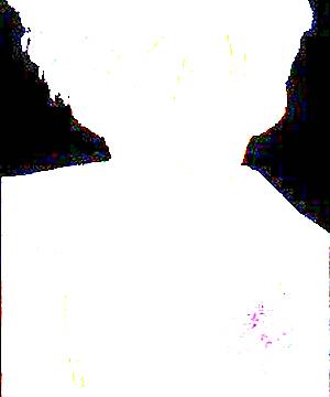 ภาพตัวละคร Mamoru Chiba