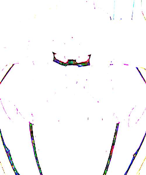 Doubleface character portrait
