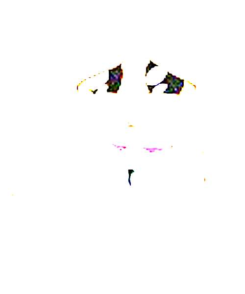 Fuku character portrait
