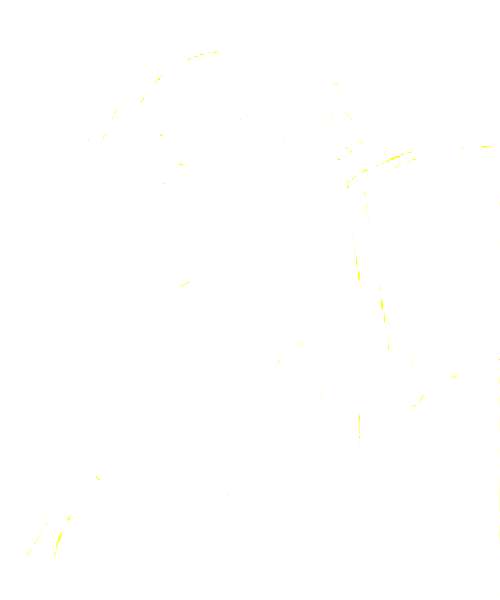 Rosso Amarant character portrait