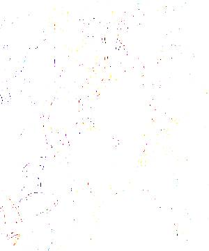 ภาพตัวละคร Violen Jiger
