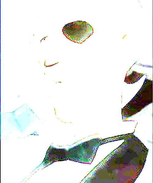 Norman Burg character portrait