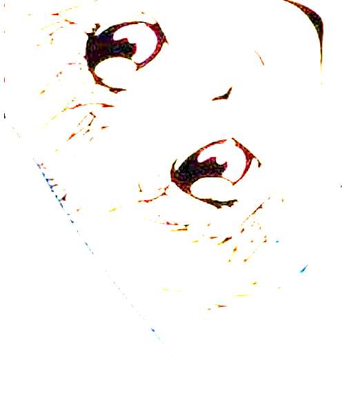 Girl character portrait