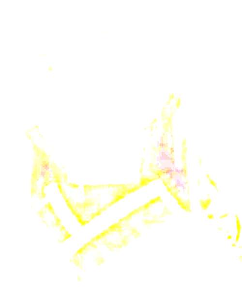 Chacha character portrait