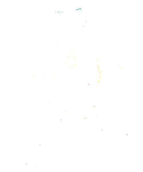 Zero Two character portrait