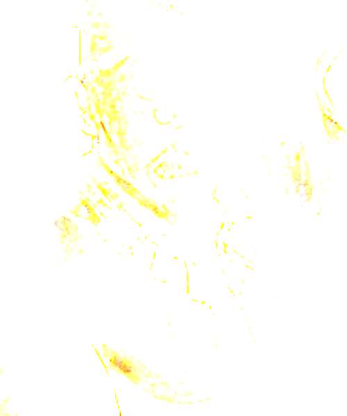 Koukan B character portrait