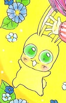 Pachi