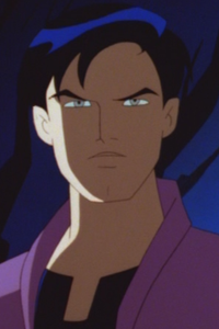 Terry McGinnis image