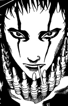 Gawain image