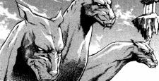 Cerberus image