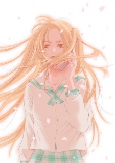 Rika Saginuma image