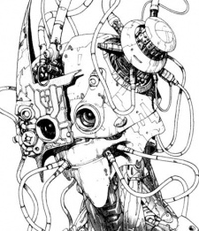 Cherubim image