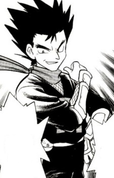 Ninja Koga image