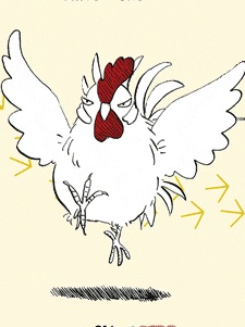 Kokko-san