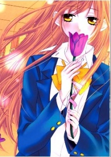 Ito Sakuraba