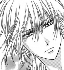 Ginrou image