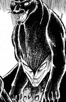 Panther Zora image