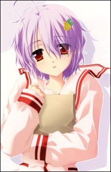 Yuma Shichiri image
