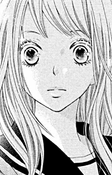 Sugi image
