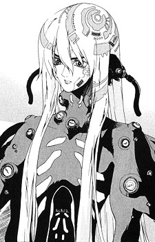 Kiku image