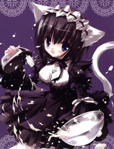 Saaya image