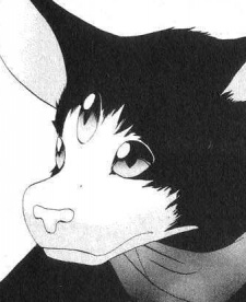 Kiki image