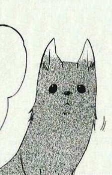 White image