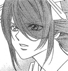 Shin image