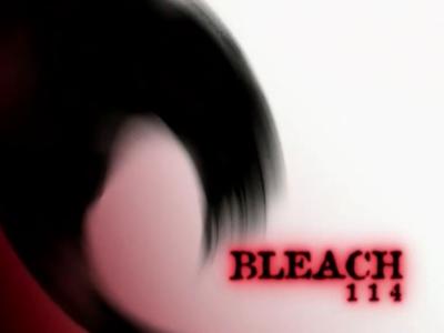 Reunion, Ichigo and Rukia and Soul Reapers