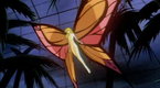 Kitsu епізод 20: Butterfly Enchantment