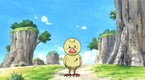 Chase Straw Hat! Little Buggy
