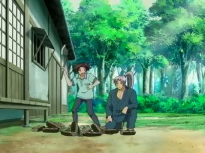 Limiter! Invitation To The World Of Bloodshed!