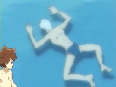 A Shark in the Public Pool