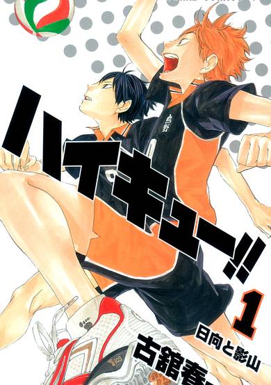 Haikyu!! cover