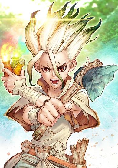 Dr. Stone