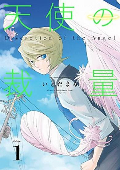 Discretion of the Angel