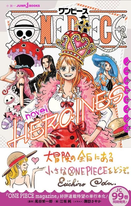 ONE PIECE novel HEROINES