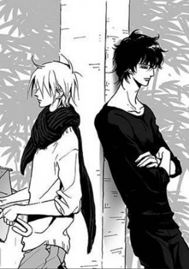 Rainy Season's Guest