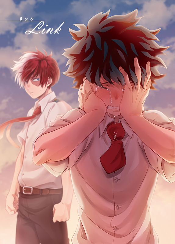 Boku no Hero Academia dj - Link